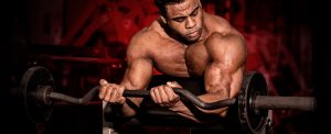 Posso treinar o mesmo músculo todos os dias? | Blog Integral